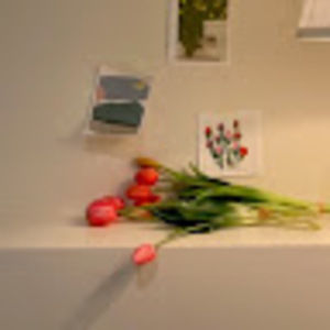 Meet your Posher, 쪼이